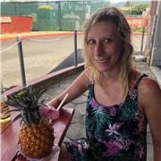 Ingegnere offre ripetizioni elementari, medie, superiori